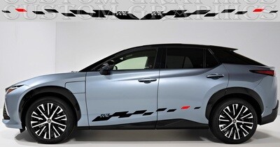 Express Your Style with Car Decals Compatible with RZ