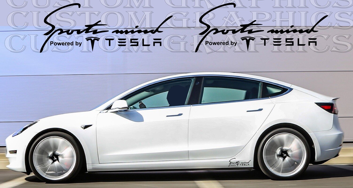 Side door vinyl decal sticker Compatible with Model 3