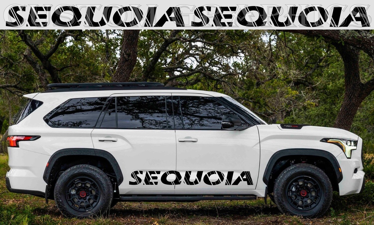 Hit the Road in Style: Vinyl Stickers Compatible with Sequoia-2023