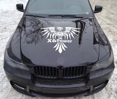 Vinyl Decals for Your Ride Compatible with X6