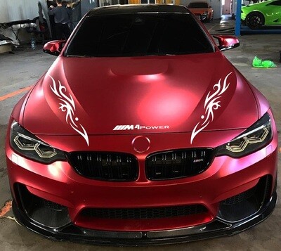 Vinyl Decals for Your Ride Compatible with M4