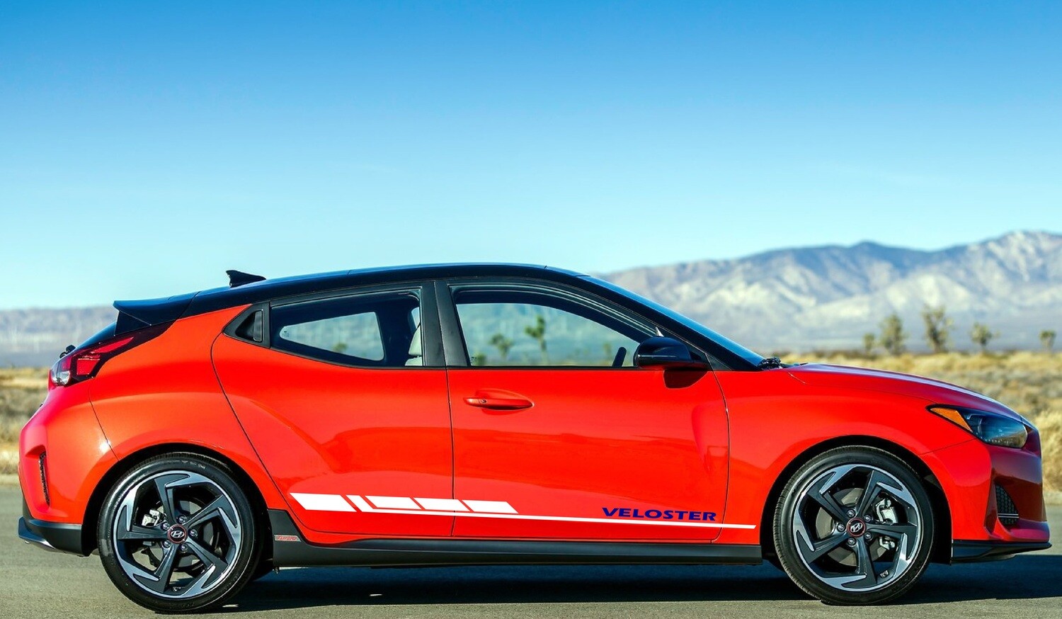 Car Stickers Galore Compatible with Veloster
