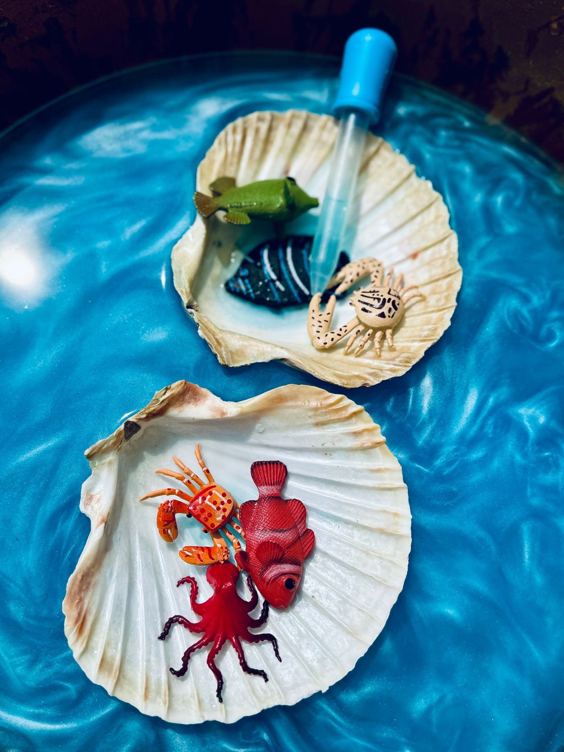 mini box - zeedieren