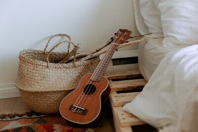 Ukulele's