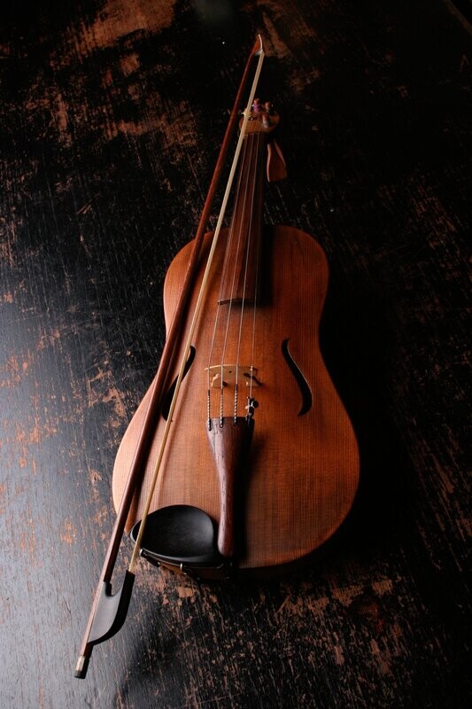 Violin (Sample Product)