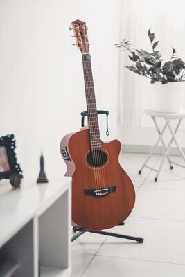 Used Guitars