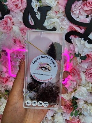 Lashes Mi Volume 6D (Size 9 To 18) 0.10 C Curl, 1000 Fans