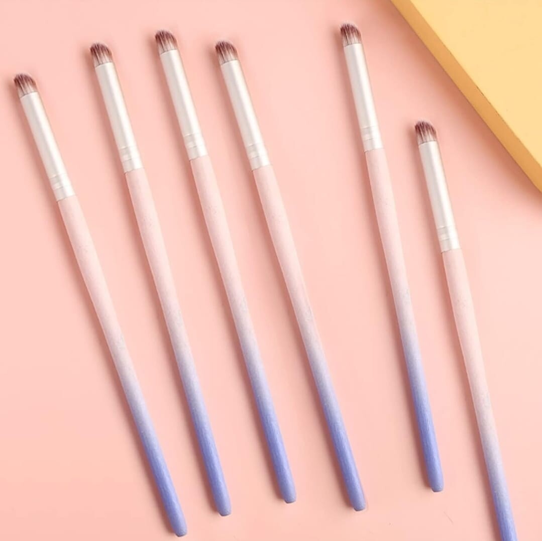 Ombre powder brush. EmpoFuture