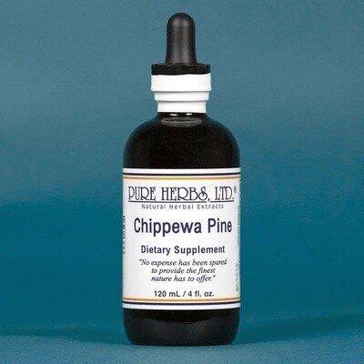 Chippewa Pine