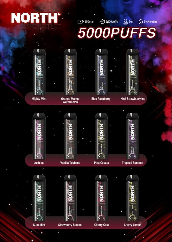 North 5000 Puff Disposable Vape