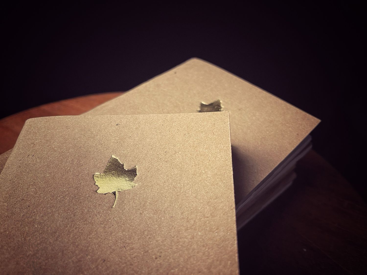 cuaderno hojas lisas A6