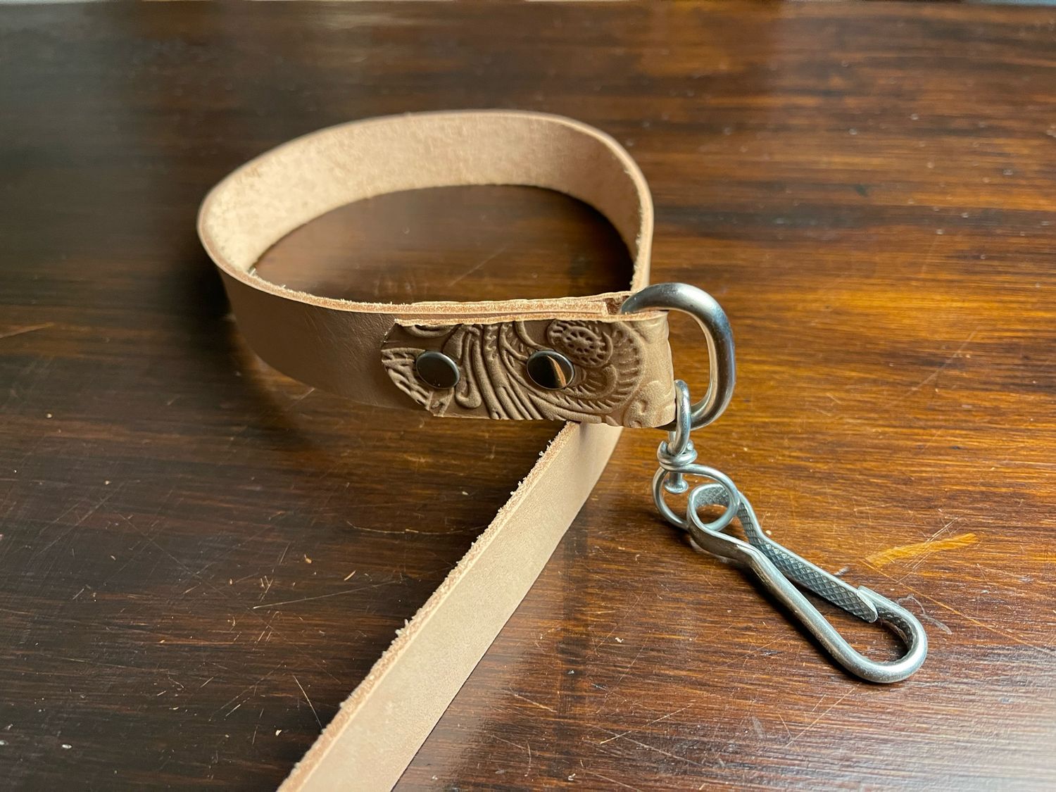 Correa para Perro Chico