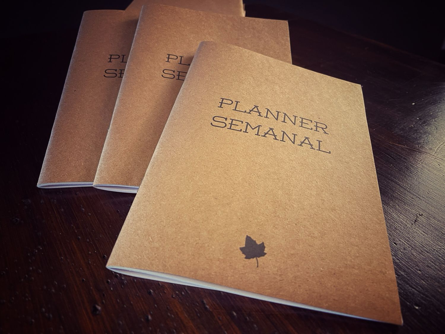 A5 - Cuaderno Planner Semanal ( 21cm x 15cm )