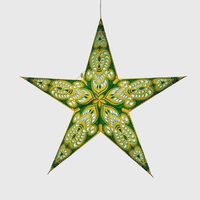 Phoenix Yellow Star - 5p 24"