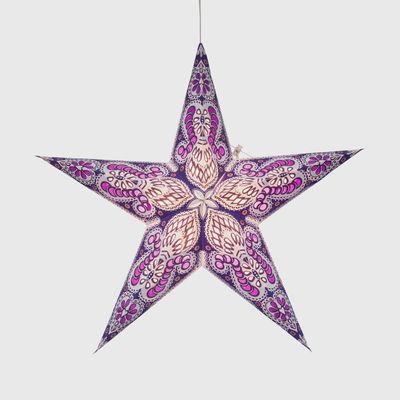 Phoenix Violet Star -5p 24"