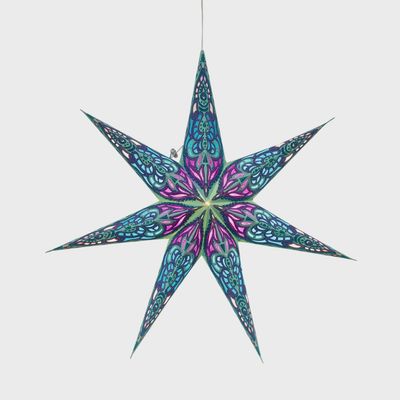Nigella Green/Purple Star - 7p 23"