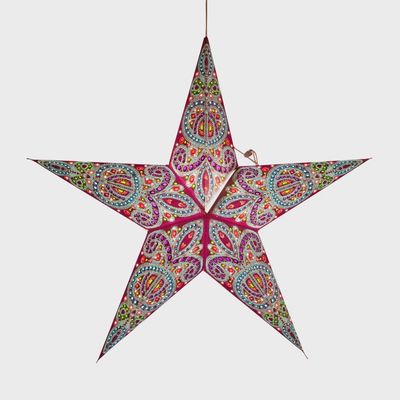 Dolores Purple Star 5p24"
