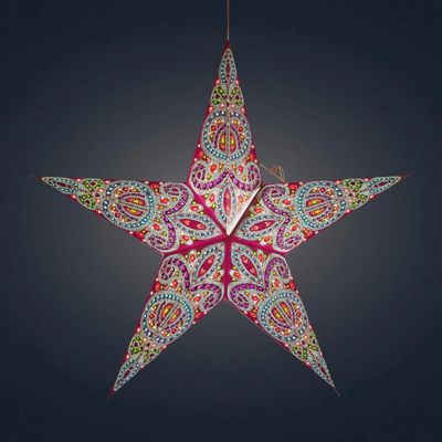 Dolores Purple Star 5p24"