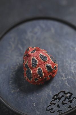 Lucky Toad Tea Pet