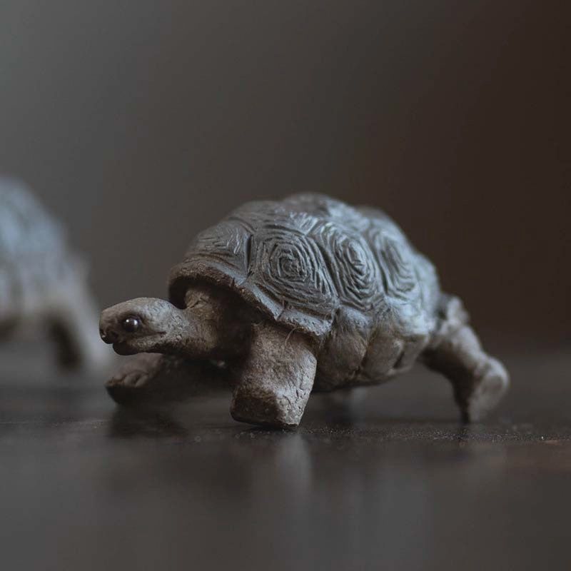 Land Turtle Tea Pet