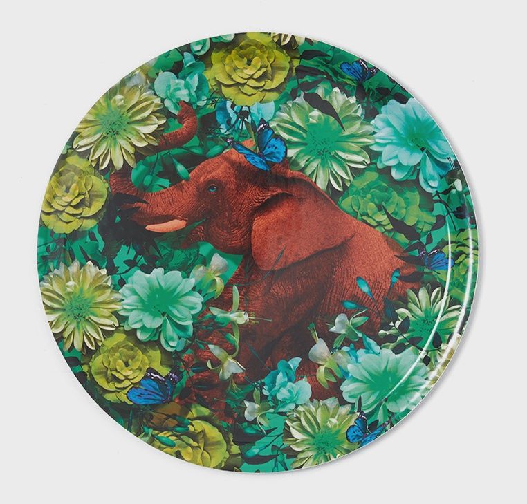 Birch Hellophanto Tray