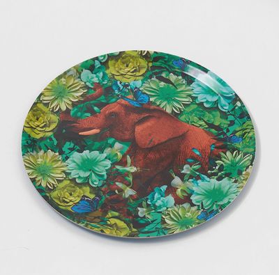 Birch Hellophanto Tray