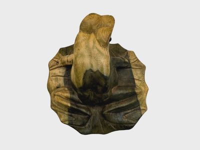 Wooden Hibiscus Frog