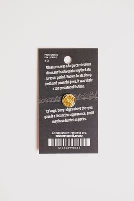 Allosaurus Pin