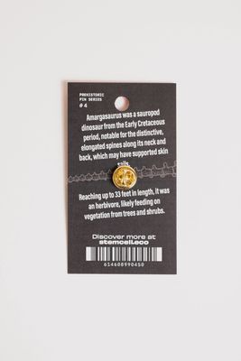 Amargasaurus Pin