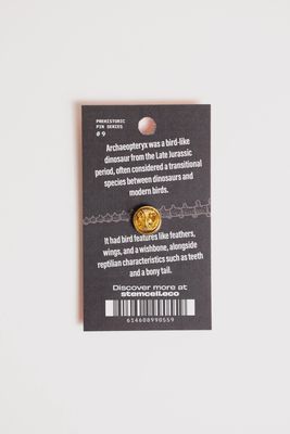 Archaeopteryx Pin