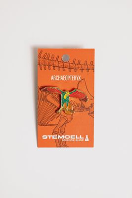 Archaeopteryx Pin
