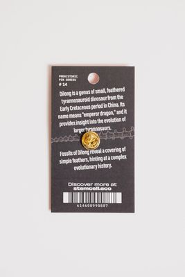 Dilong Pin