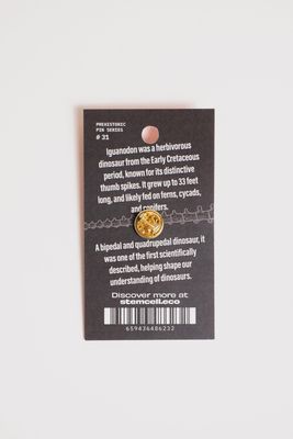 Iguanodon Pin