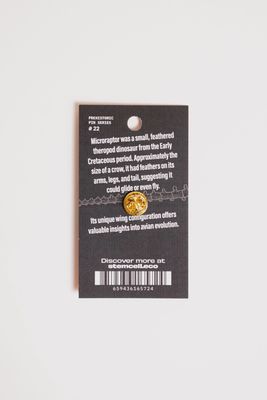Microraptor Pin