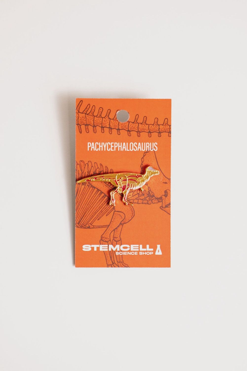 Pachycephalosaurus Pin