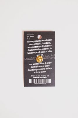 Pachycephalosaurus Pin