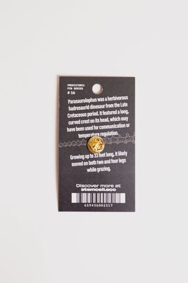 Parasaurolophus Pin