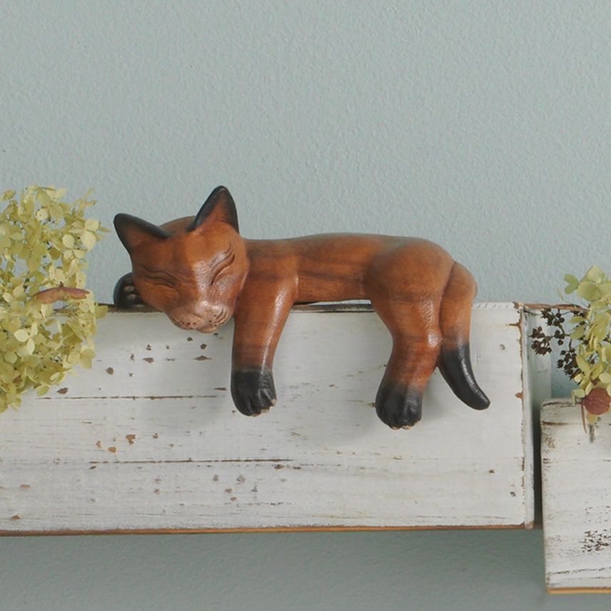 Napping Shelf Cat