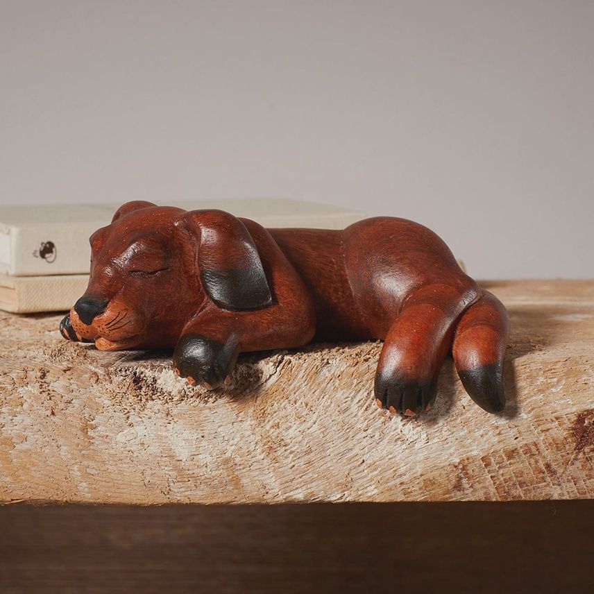 Napping Shelf Dog