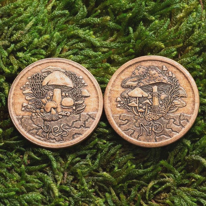 Fungible Token Decision Coin