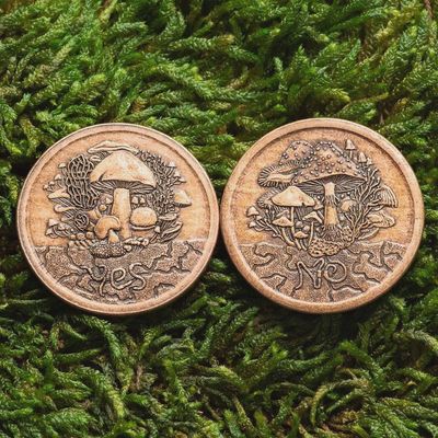 Fungible Token Decision Coin