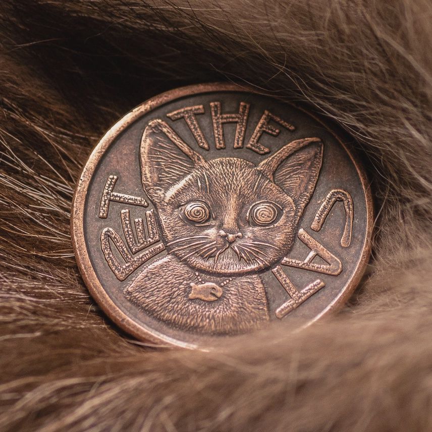 Pet the Cat Decision Coin