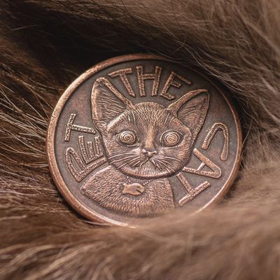 Pet the Cat Decision Coin