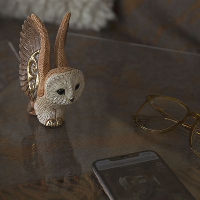 Barn Owl