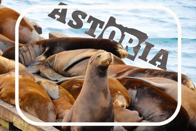 . Destination Astoria .