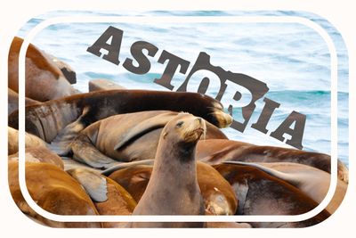 . Destination Astoria .