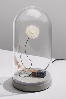 Studio Drift Dandelight