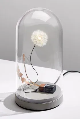 Studio Drift Dandelight