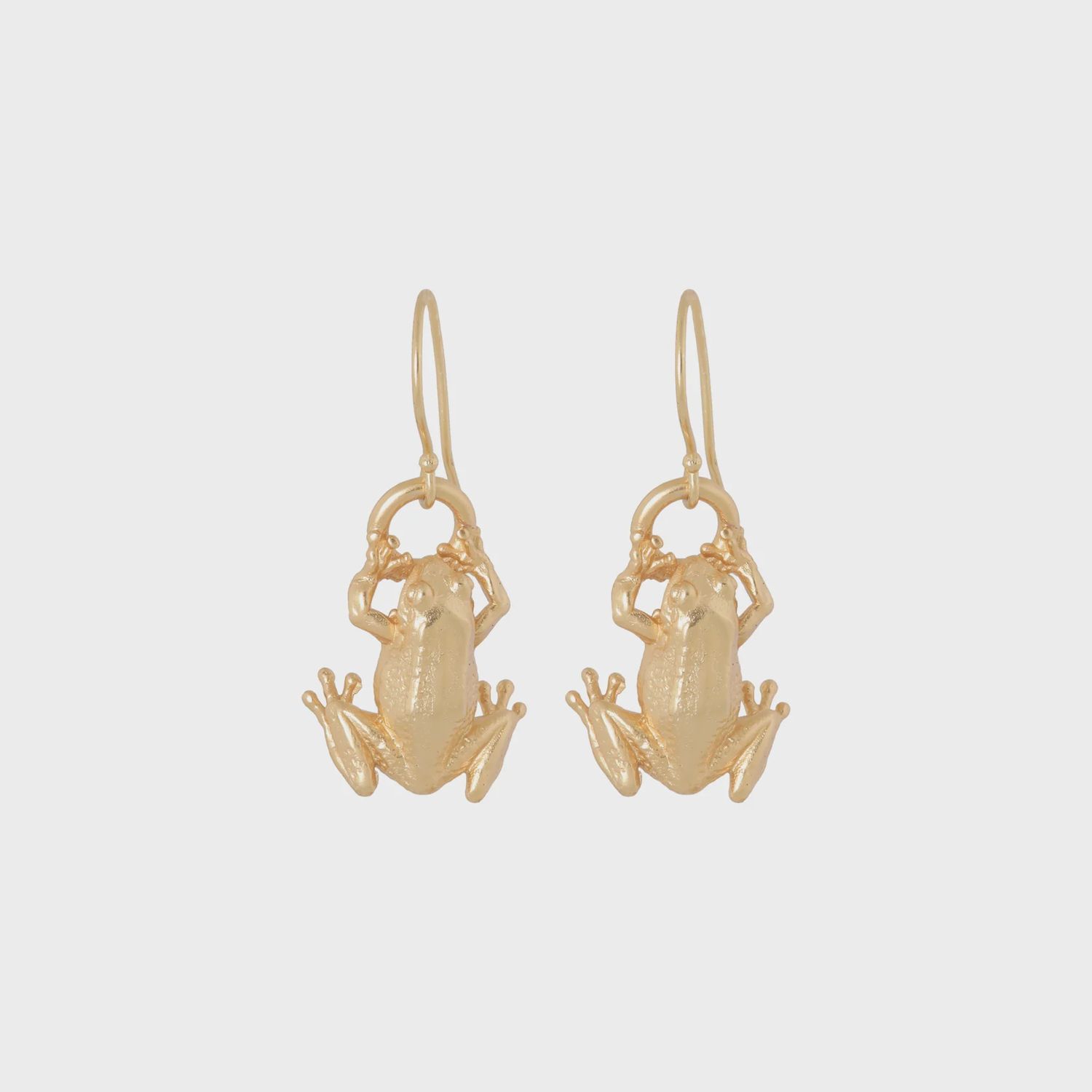 Renoir Frog