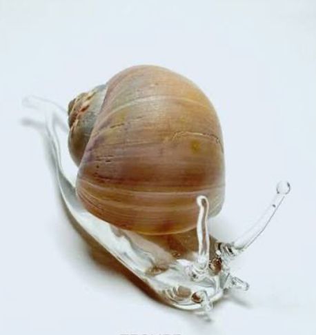 'Slakje'